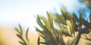 PARIS TRONCHET vous souhaite Bonne Année